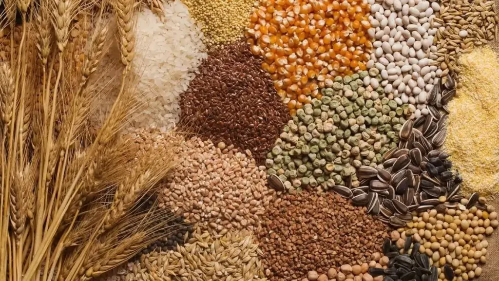 Understanding the Impact of Certain Carbohydrates on Weight Loss and Diabetes Risk