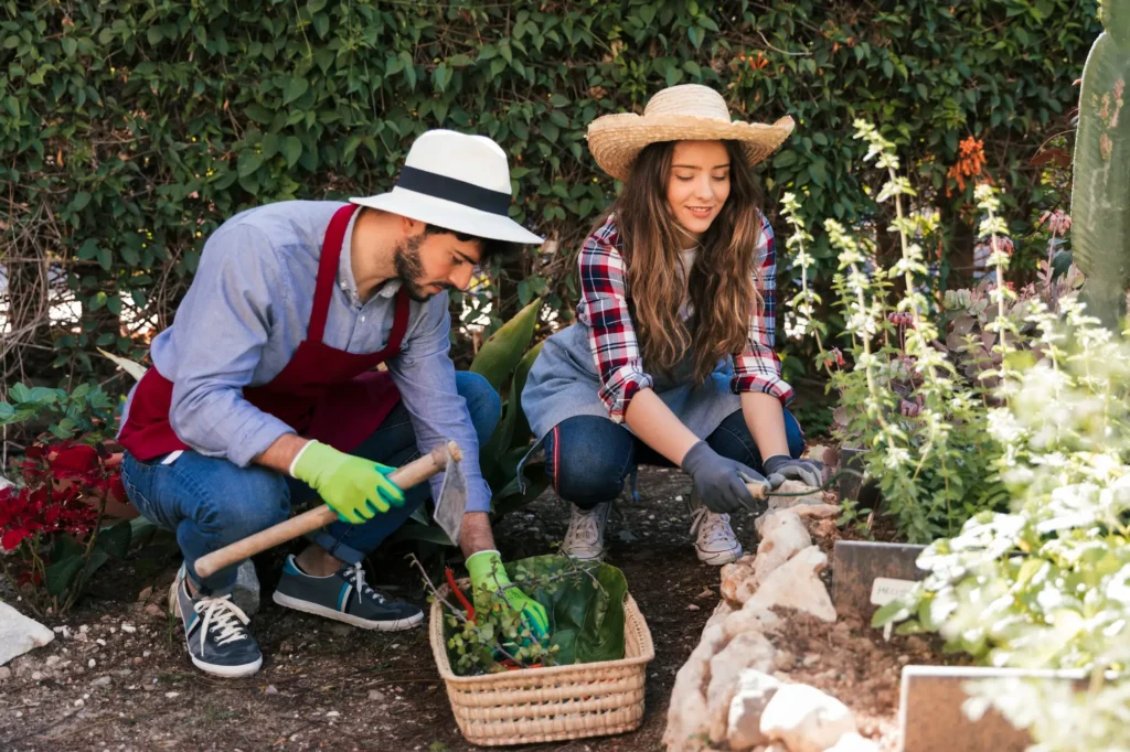 Gardening Gardening